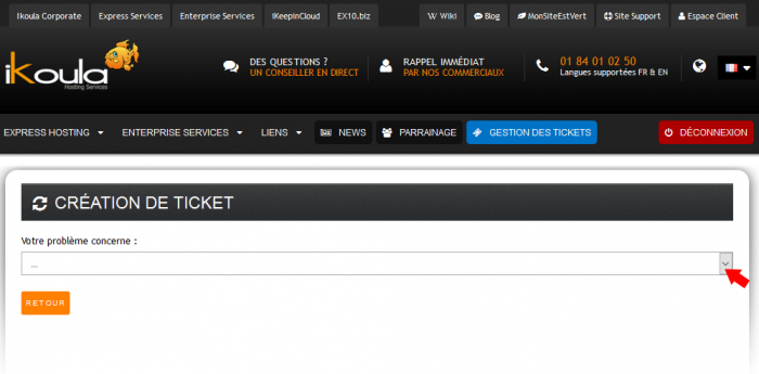 Ouvrirticket 05 choisir prestation.png